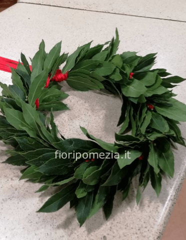 Coroncina di alloro x laurea