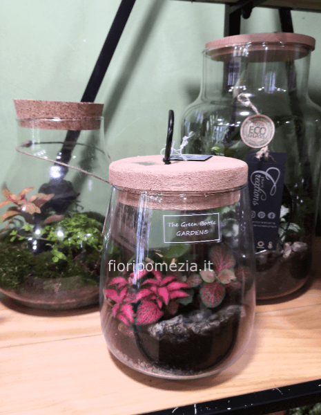 Terrarium