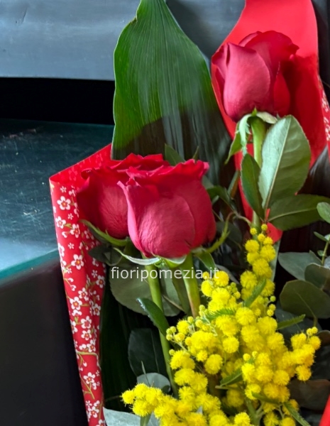 Rose rosse con mimosa | Festa della Donna